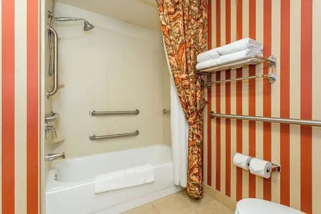 Standard Oda, 1 En Büyük (King) Boy Yatak, Engellilere Uygun (Mobility, Transfer Shower, Tub)