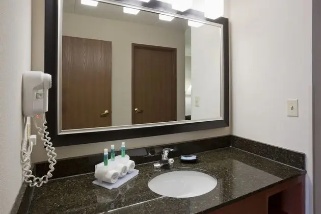 Süit, 1 En Büyük (King) Boy Yatak ve Çekyat (Walk-In Shower)