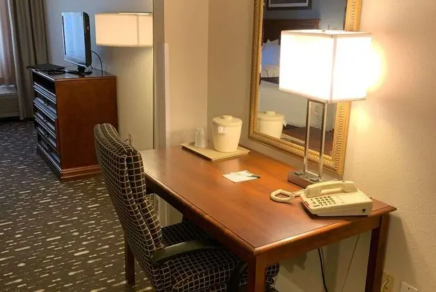 Süit, 1 En Büyük (King) Boy Yatak ve Çekyat, Sigara İçilmez, Sıcak Su Küveti (Jacuzzi Suite)