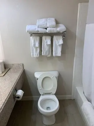 Superior Stüdyo Süit, 1 En Büyük (King) Boy Yatak ve Çekyat, Sigara İçilmez