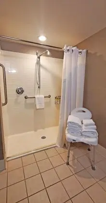 Süit, Engellilere Uygun, Sigara İçilmez (Mobility, Roll-In Shower)