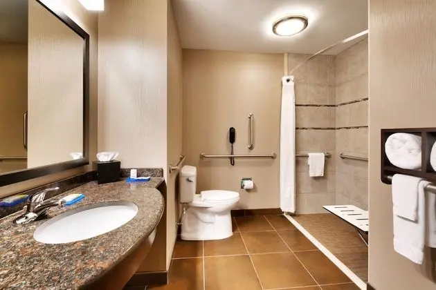Standard Oda, 1 En Büyük (King) Boy Yatak, Engellilere Uygun (Roll-In Shower)