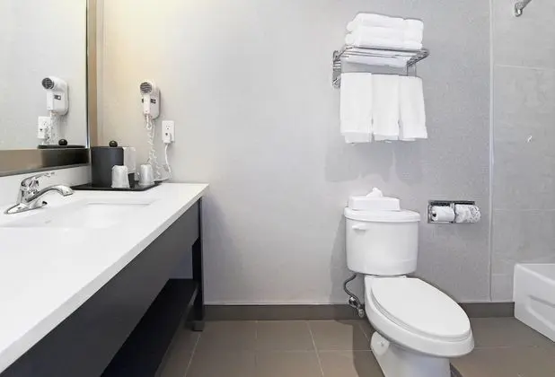 Standard Oda, 1 Çift Kişilik Yatak, Engellilere Uygun (Mobility Roll-In Shower)