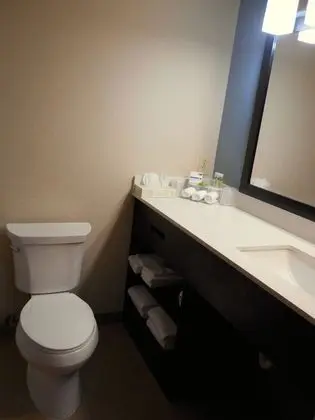 Standard Oda, 2 Büyük (Queen) Boy Yatak, Engellilere Uygun (Mobility, Accessible Tub)