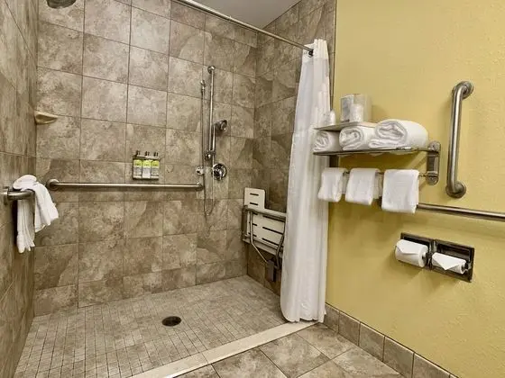 Oda, 1 En Büyük (King) Boy Yatak, Engellilere Uygun (Roll-In Shower)