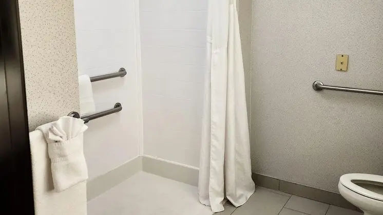 Standard Oda, 2 Büyük (Queen) Boy Yatak, Engellilere Uygun (Mobility, Accessible Tub)