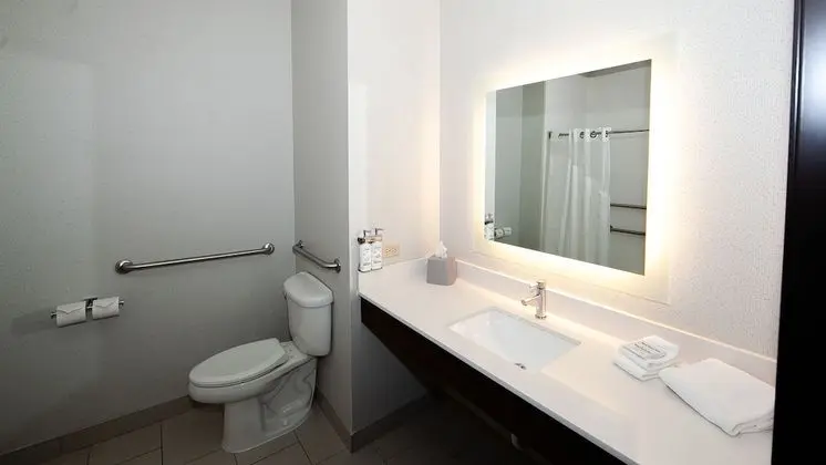 Standard Oda, 2 Büyük (Queen) Boy Yatak, Engellilere Uygun (Mobility, Accessible Tub)