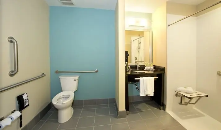 Standard Oda, 1 En Büyük (King) Boy Yatak, Engellilere Uygun (Communication, Roll-In Shower)