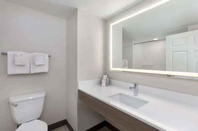Süit, 1 En Büyük (King) Boy Yatak, Engellilere Uygun (Communications, Accessible Tub)