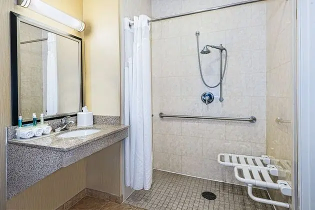 Oda, 2 Büyük (Queen) Boy Yatak, Engellilere Uygun, Sigara İçilmez (Mobility, Roll-In Shower)