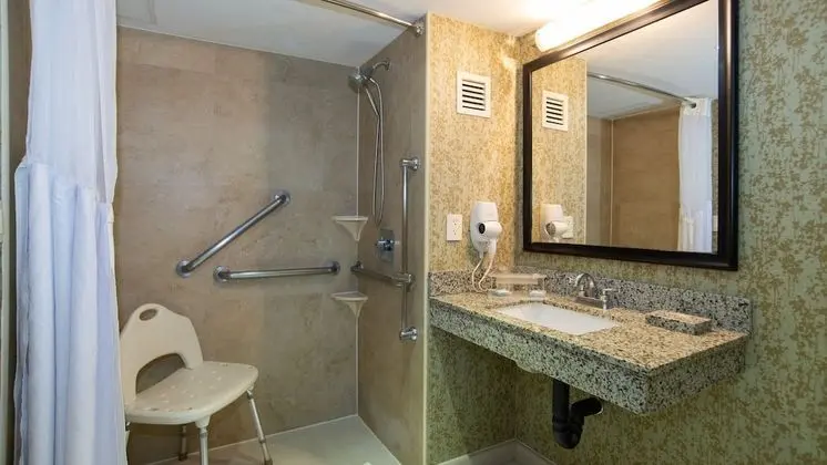 Standard Oda, 1 En Büyük (King) Boy Yatak, Engellilere Uygun (Roll-In Shower)
