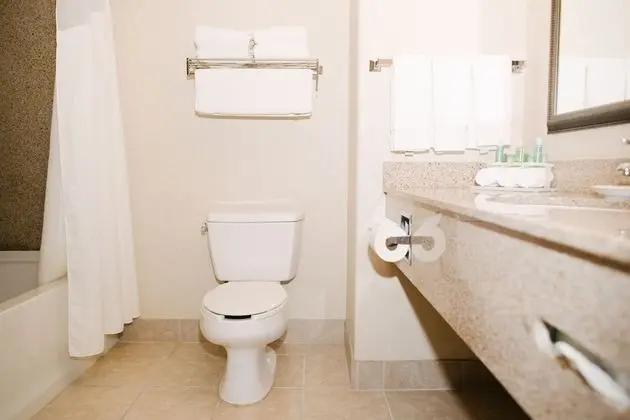 Standard Oda, 2 Büyük (Queen) Boy Yatak, Şehir Manzaralı