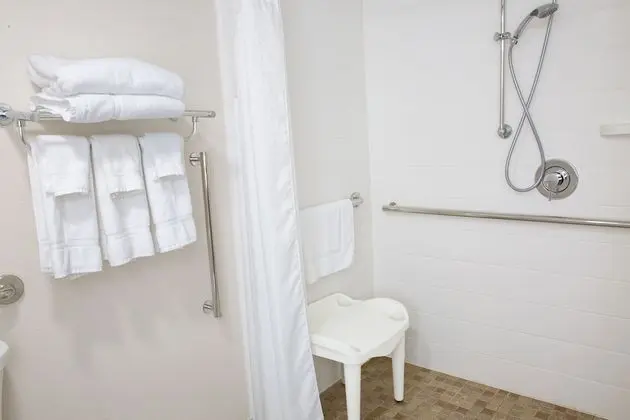 Standard Oda, 1 En Büyük (King) Boy Yatak, Engellilere Uygun (Roll-In Shower)