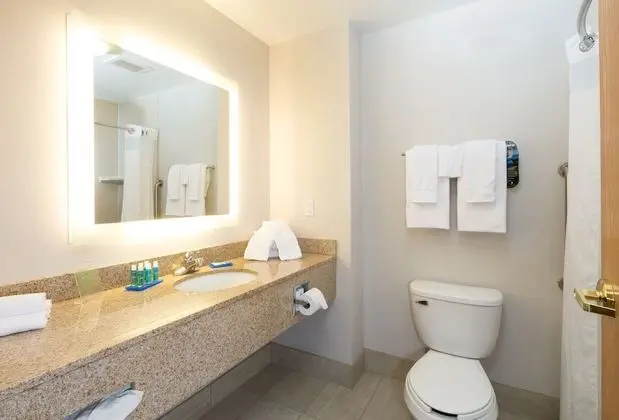 Standard Oda, 1 En Büyük (King) Boy Yatak, Engellilere Uygun (Mobility, Accessible Tub)