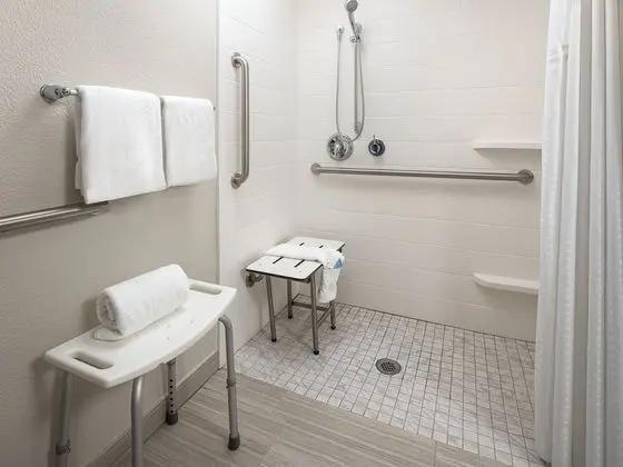 Süit, 2 Çift Kişilik Yatak, Engellilere Uygun (Mobility Roll-In Shower)