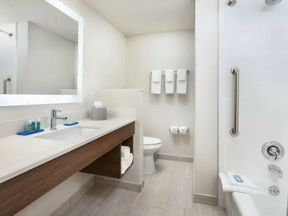 Süit, 2 Çift Kişilik Yatak, Engellilere Uygun (Mobility Roll-In Shower)