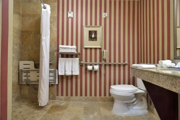 Standard Oda, 1 En Büyük (King) Boy Yatak, Engellilere Uygun (Comm Access,Roll-In Shower)