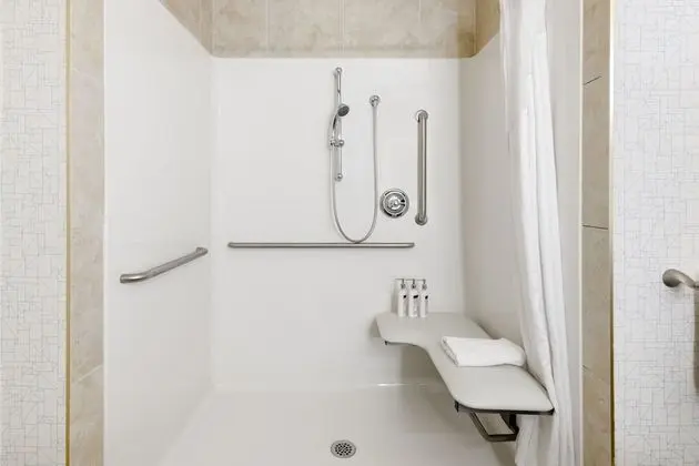Standard Oda, 1 En Büyük (King) Boy Yatak, Engellilere Uygun (Roll-In Shower)