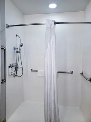 Oda, 1 En Büyük (King) Boy Yatak, Engellilere Uygun, Sigara İçilmez (Roll-In Shower)