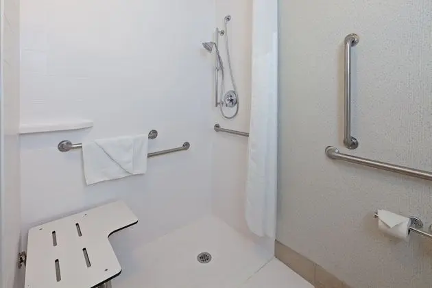 Süit, 1 En Büyük (King) Boy Yatak, Engellilere Uygun (Roll-In Shower)