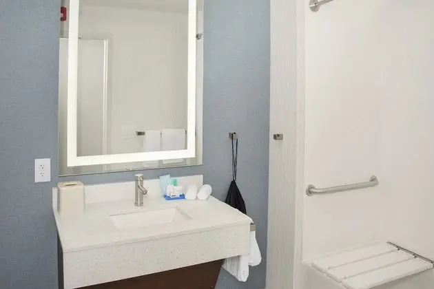 Süit, 1 En Büyük (King) Boy Yatak, Engellilere Uygun (Mobility, Access Tub)