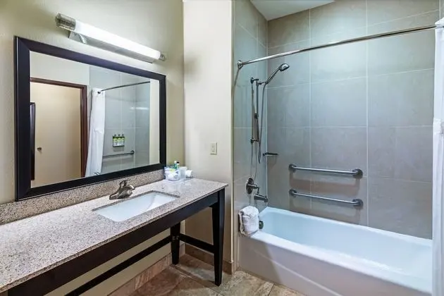 Süit, 1 En Büyük (King) Boy Yatak ve Çekyat, Engellilere Uygun (Accessible Tub)