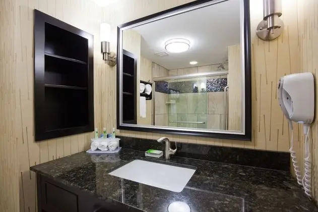 Standard Oda, 1 En Büyük (King) Boy Yatak, Engellilere Uygun (Communication, Roll-In Shower)