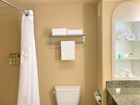 Standard Oda, 1 En Büyük (King) Boy Yatak, Engellilere Uygun (Hearing, Roll-In Shower)
