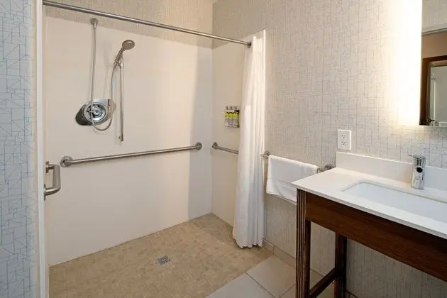Standard Oda, 2 Büyük (Queen) Boy Yatak, Engellilere Uygun (Mobility, Roll-In Shower)