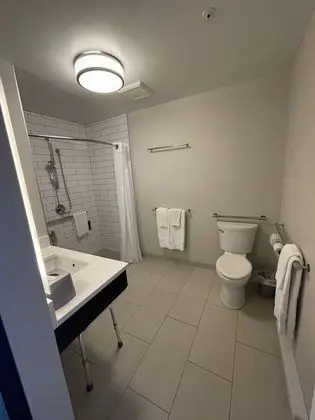 Standard Oda, 1 En Büyük (King) Boy Yatak, Engellilere Uygun (Mobility, Roll-In Shower)