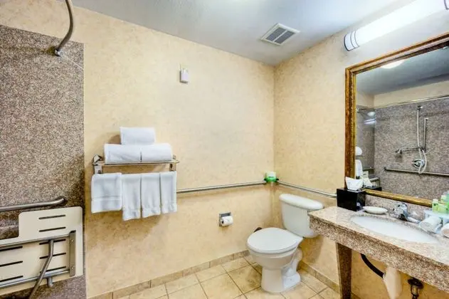 Standard Oda, 2 Büyük (Queen) Boy Yatak, Engellilere Uygun (Roll-In Shower)