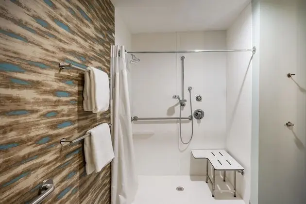 Standard Oda, 2 Büyük (Queen) Boy Yatak, Engellilere Uygun (Mobility, Roll-In Shower)