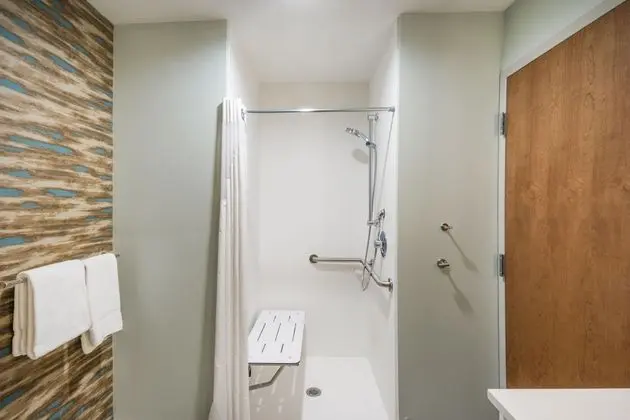 Standard Oda, 2 Büyük (Queen) Boy Yatak, Engellilere Uygun (Mobility, Roll-In Shower)