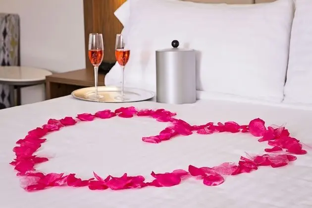 Standard Oda, 1 En Büyük (King) Boy Yatak, Engellilere Uygun (Comm Mobil Tran Shwr)