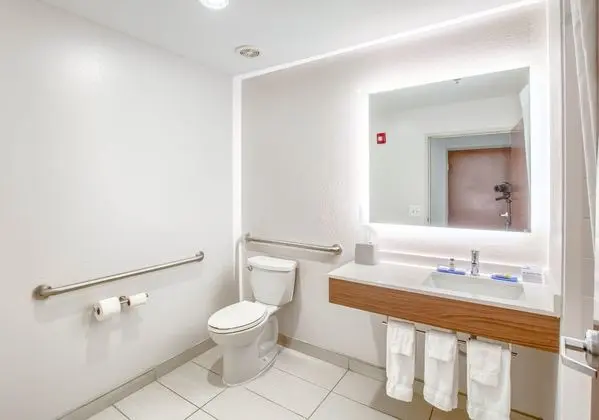 Süit, 1 En Büyük (King) Boy Yatak, Engellilere Uygun (Mobility, Bathtub)