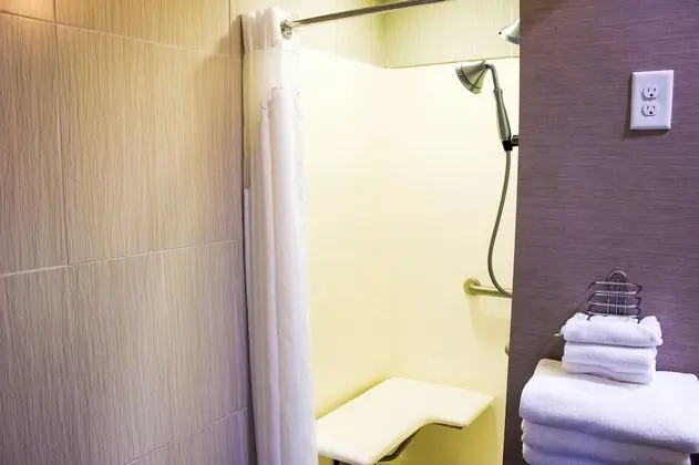 Standard Oda, 1 En Büyük (King) Boy Yatak, Engellilere Uygun (Communication, Roll-In Shower)