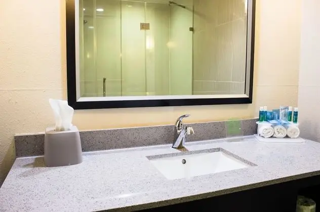 Standard Oda, 1 En Büyük (King) Boy Yatak, Engellilere Uygun (Mobility, Accessible Tub)