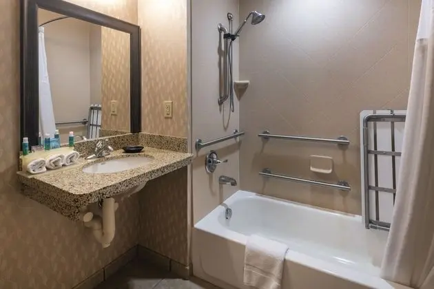 Süit, 1 En Büyük (King) Boy Yatak, Engellilere Uygun (Accessible Tub)
