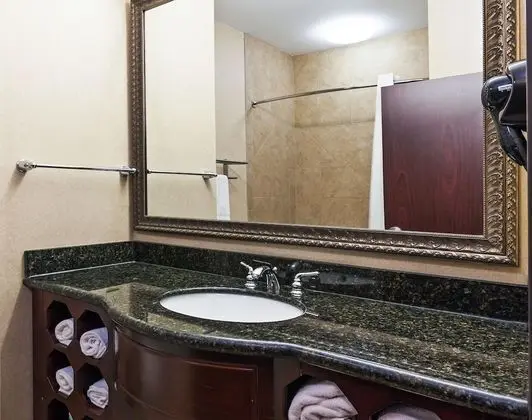 Standard Oda, 1 En Büyük (King) Boy Yatak, Engellilere Uygun (Mobility Roll-In Shower)