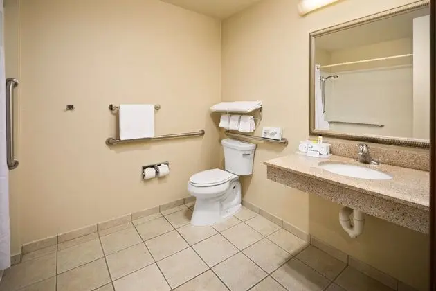 Engellilere Uygun Banyo