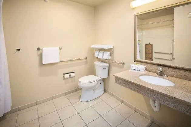Engellilere Uygun Banyo