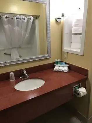 Oda, 1 En Büyük (King) Boy Yatak, Engellilere Uygun (Roll-In Shower)