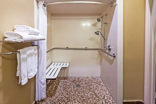 Süit, 1 Çift Kişilik Yatak ve Çekyat, Engellilere Uygun (Roll-In Shower)
