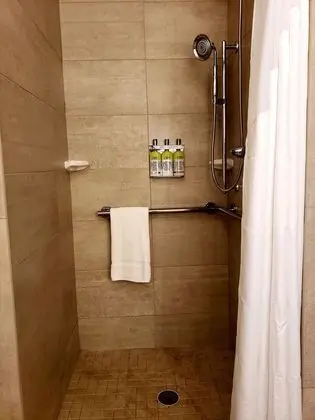 Standard Oda, 1 En Büyük (King) Boy Yatak, Engellilere Uygun (Roll-In Shower)
