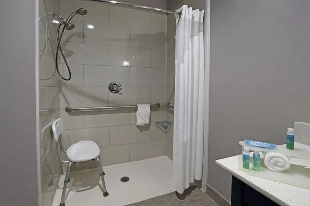 Standard Oda, 1 En Büyük (King) Boy Yatak, Engellilere Uygun (Mobility, Accessible Tub)