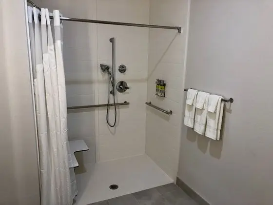 Süit, 1 Büyük (Queen) Boy Yatak, Engellilere Uygun, Sigara İçilmez (Hearing, Transfer Shower)