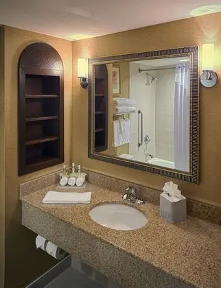 Oda, 1 En Büyük (King) Boy Yatak, Engellilere Uygun, Sigara İçilmez (Mobility, Transfer Shower)