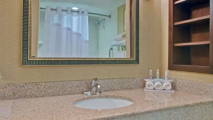 Süit, 1 En Büyük (King) Boy Yatak ve Çekyat (Wet Bar)
