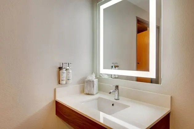 Standard Oda, 1 En Büyük (King) Boy Yatak, Engellilere Uygun (Mobility, Accessible Tub)