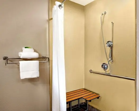 Standard Oda, 2 Büyük (Queen) Boy Yatak, Engellilere Uygun (Mobility, Roll-In Shower)